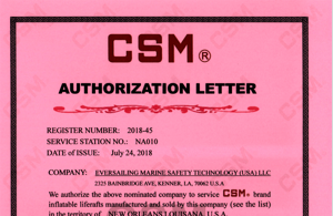 CSM Authorization